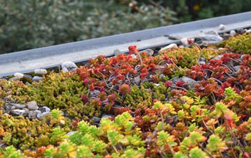 the cost of Smallwood green roof installation