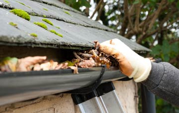 gutter cleaning Smallwood
